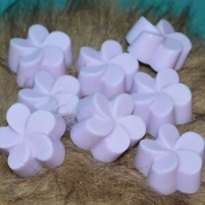 Fondants (différents modèles)
