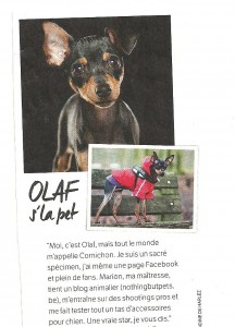 Olaf - Flair l'hebdo - 24 février 2016
