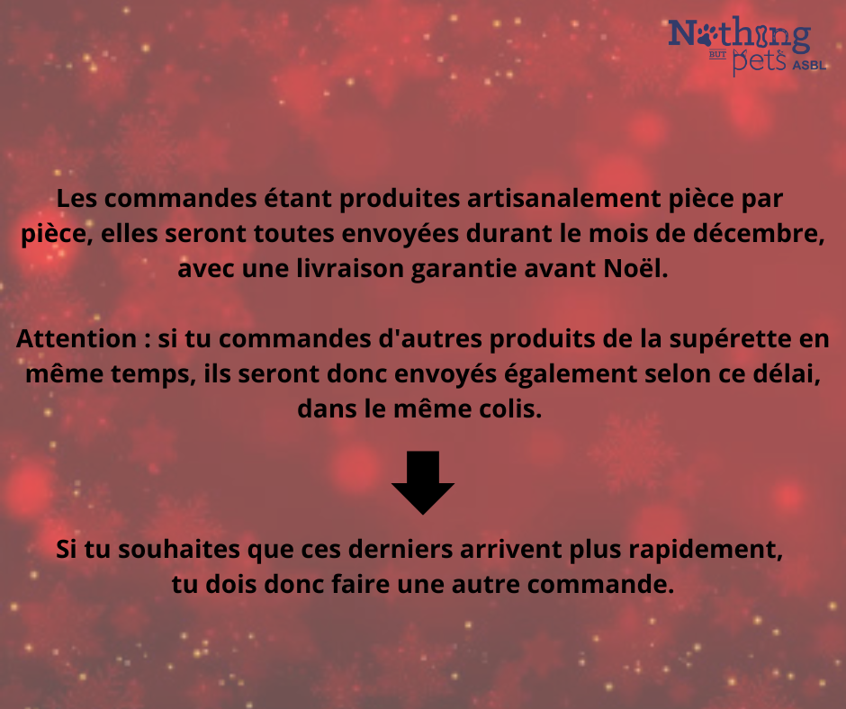 Offre de Noël – Image 8